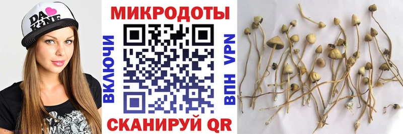 Галлюциногенные грибы GOLDEN TEACHER  хочу наркоту  Северская 